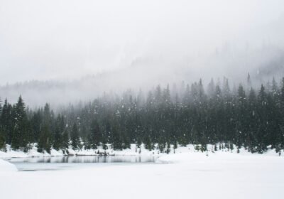 Snow Special Standard