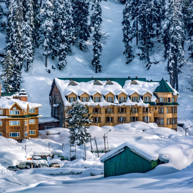 Kashmir Special Package Premium