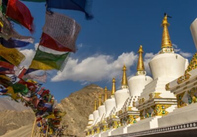 Ladakh Package Standard
