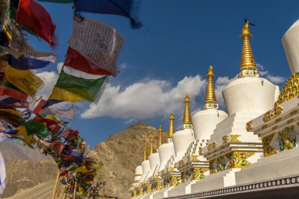 Ladakh Package Standard
