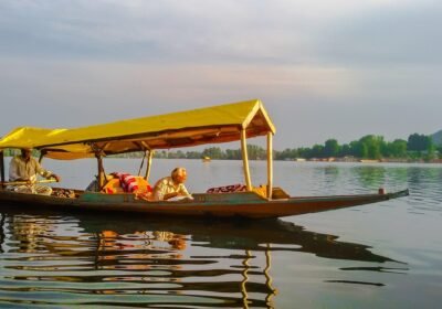 Kashmir Special Package Standard