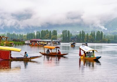 Kashmir Escape Standard