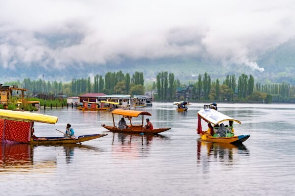 Kashmir Escape Standard