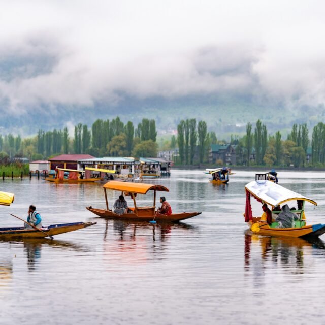 Kashmir Escape Standard
