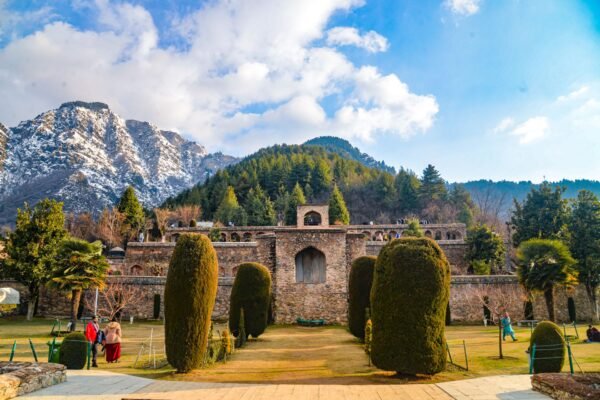 Kashmir Special Package Premium
