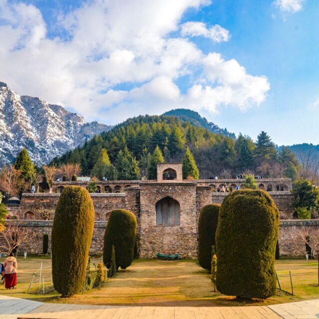 Kashmir Special Package Premium